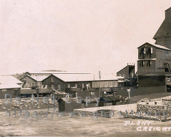 The plant in the 1920s Plant