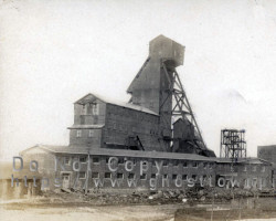 The plant, ca. 1910-15 Plant