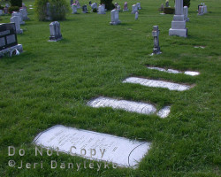 A row of Steele family tombstones. Cemetery
