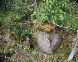 The majority of the homes however were supported by concrete pillars. The temporary boxcar settlement was only supported by wooden pillars. Photo of