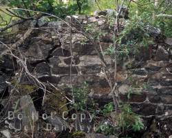 Only the more substantial structures had foundations. The one time general store did and can still be identified to this day. Photo of foundation