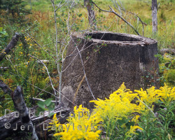 Though rare, relics of the townsite can be found along Ellis and Vermilion streets, where the majority of the village 's activity was once centred. Photo of ruins