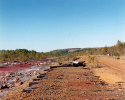 A view of the yards Photo of yards