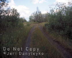 Although nothing remains of the buildings, the roadway remains clear. Photo of road