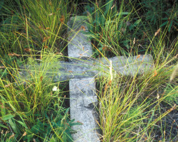 A stone cross surrounded by weeds Photo of cross